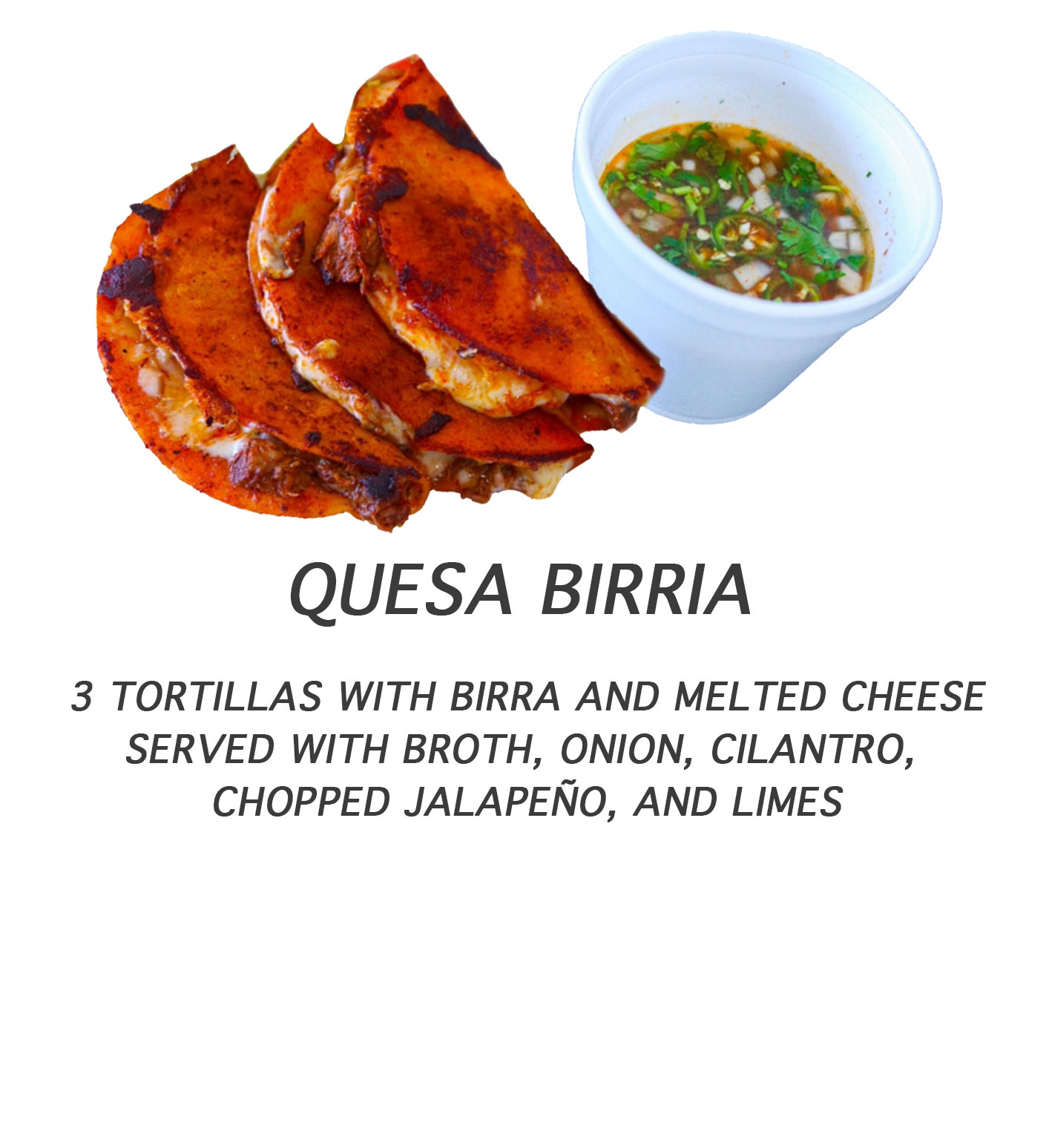 Quesa Birria