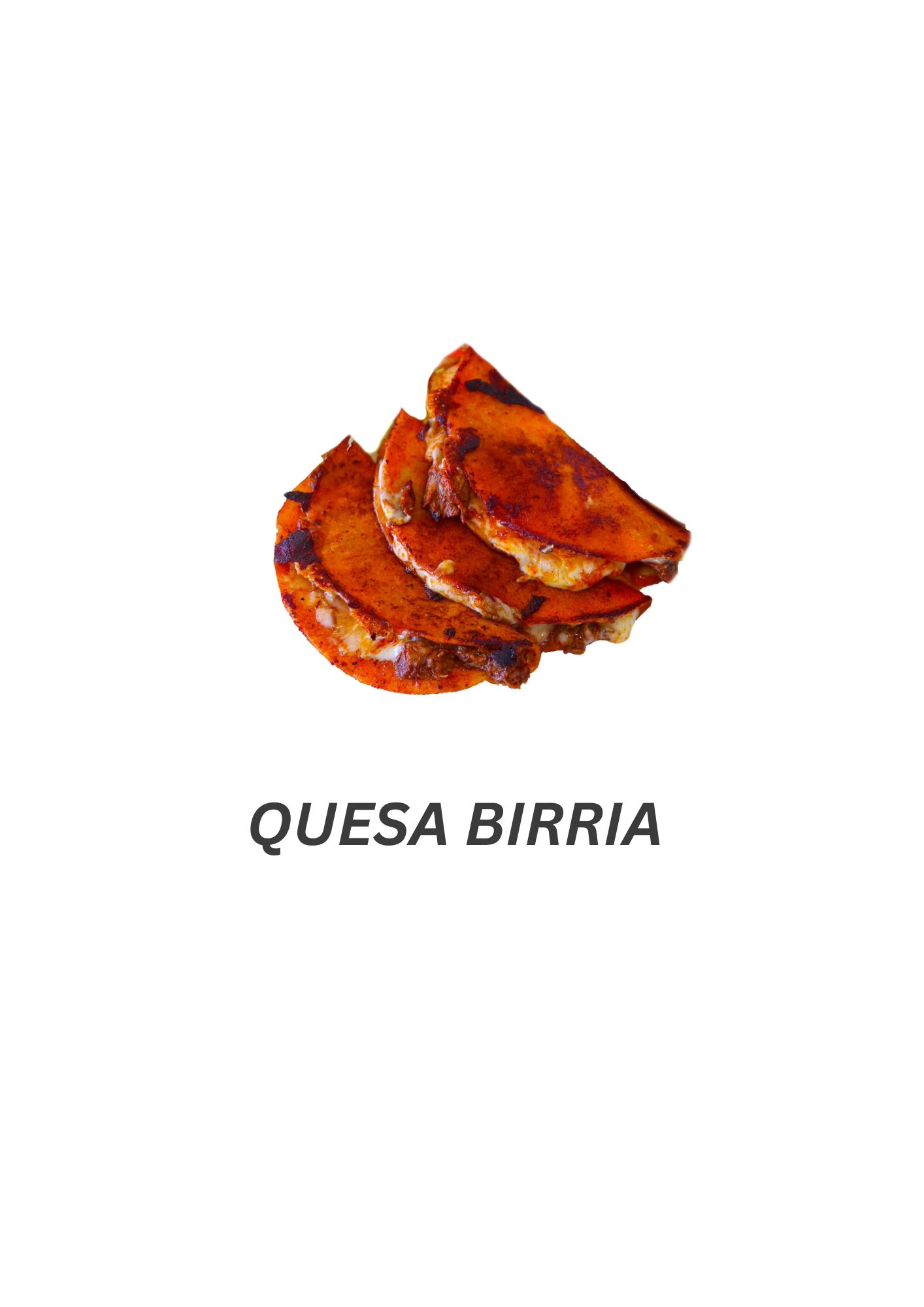 Quesa Birria